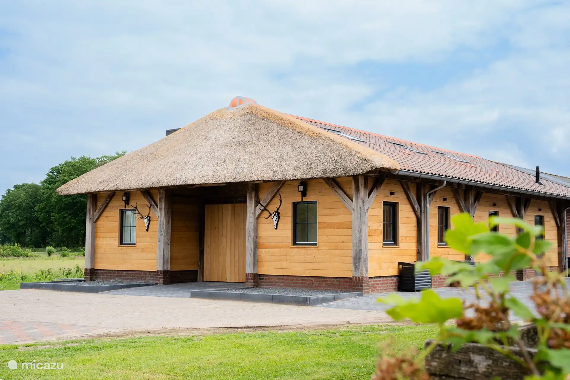 Bollock - Retro in Netherlands, Gelderland, Halle - apartment
