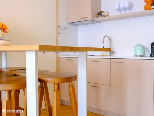 Bollock - Rétro | Pays-Bas, Gueldre, Halle - appartement Cuisine.