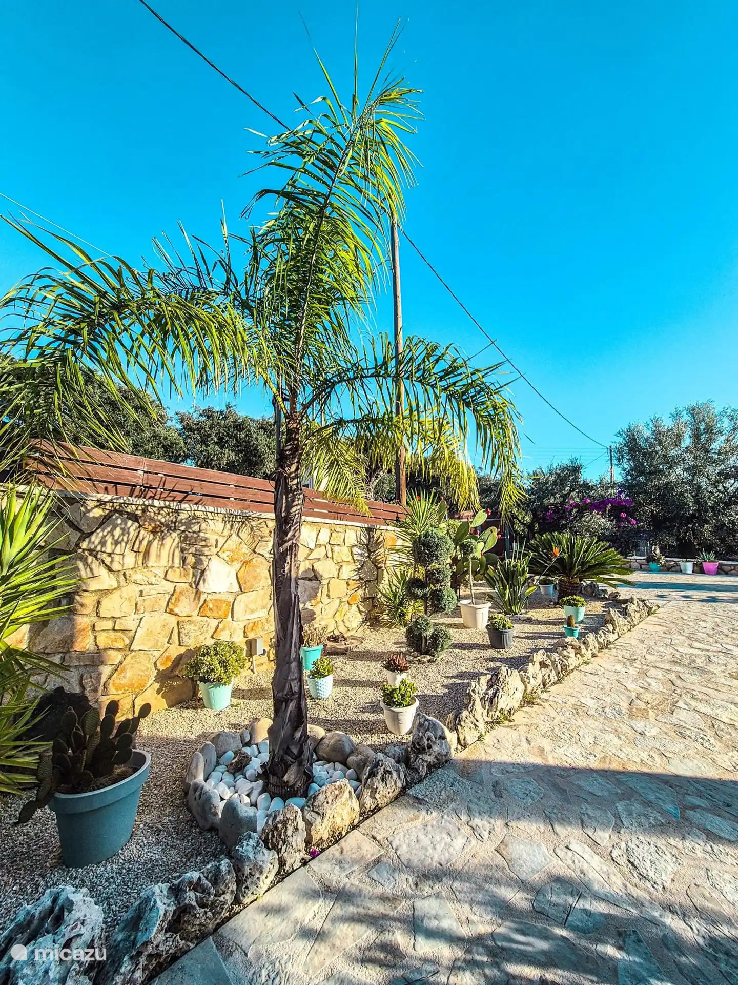 A small part of the beautifully landscaped garden. 
