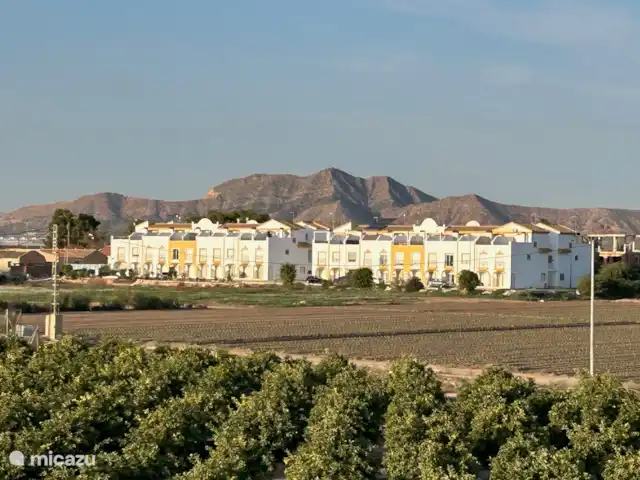 Location de Vacances Espagne, Murcia, Torre-Pacheco, appartement - Privé Vue spacieuse à l’arrière des agrumes