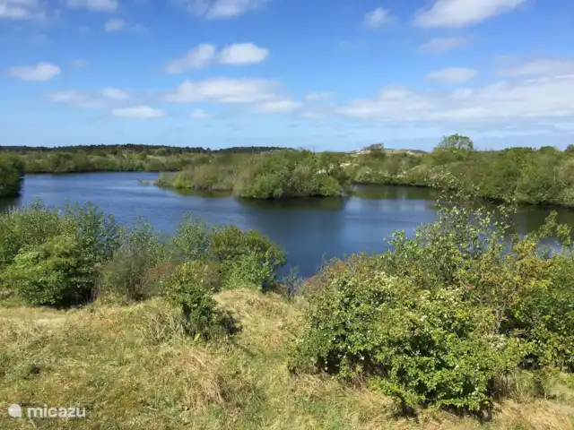 Den huren in Nederland, Zeeland, Renesse - vakantiehuis Duingebied