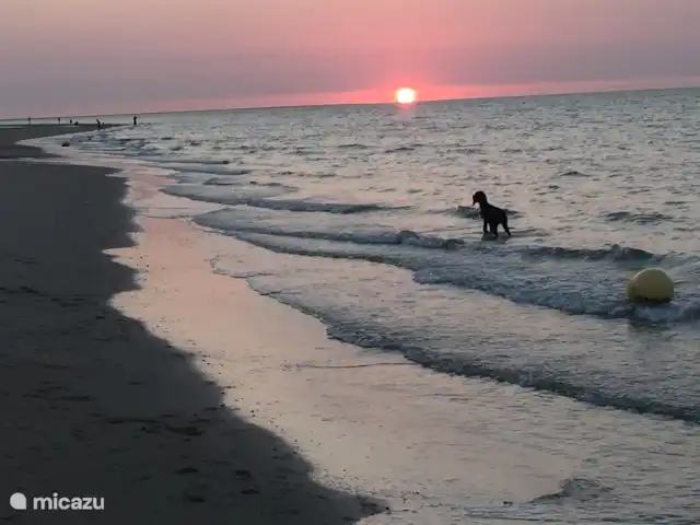 Den huren in Nederland, Zeeland, Renesse - vakantiehuis Strand