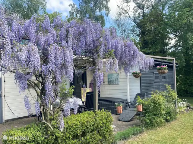 Den huren in Nederland, Zeeland, Renesse - vakantiehuis Terras