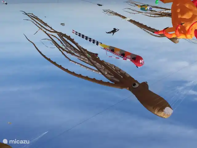 Den huren in Nederland, Zeeland, Renesse - vakantiehuis Strand