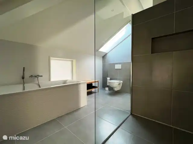 Crécerelle | Pays-Bas, Overijssel, Sibculo - maison de vacances Salle de bain luxueuse avec baignoire, douche spacieuse, toilettes et double vasque