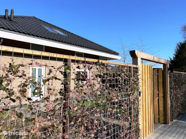 Crécerelle | Pays-Bas, Overijssel, Sibculo - maison de vacances Devant de la maison avec haie (envahie par la végétation pendant les mois d’été)