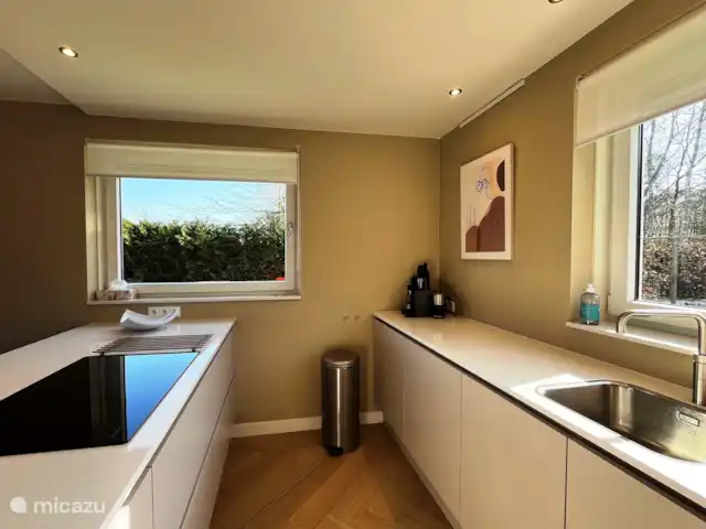 Crécerelle | Pays-Bas, Overijssel, Sibculo - maison de vacances Cuisine de luxe moderne