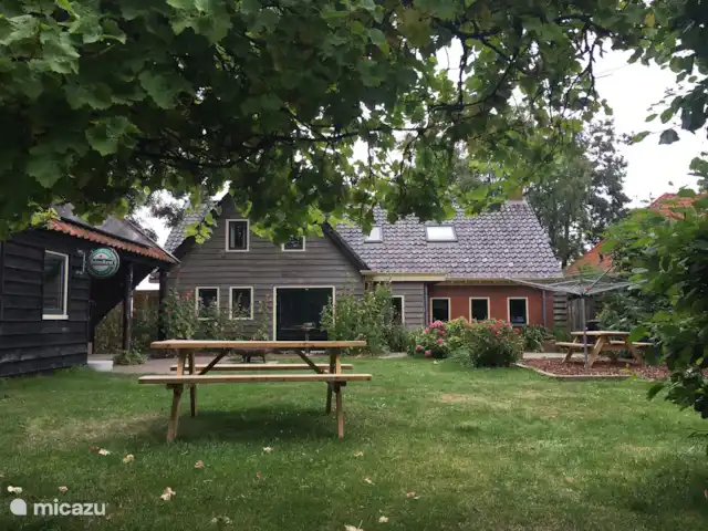 Maison de vacances n°1 | Pays-Bas, Groningue, Kloosterburen - maison de vacances Roses trémières de jardin dans le jardin