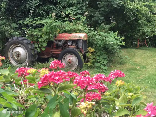 Maison de vacances n°1 | Pays-Bas, Groningue, Kloosterburen - maison de vacances Instantané dans le jardin