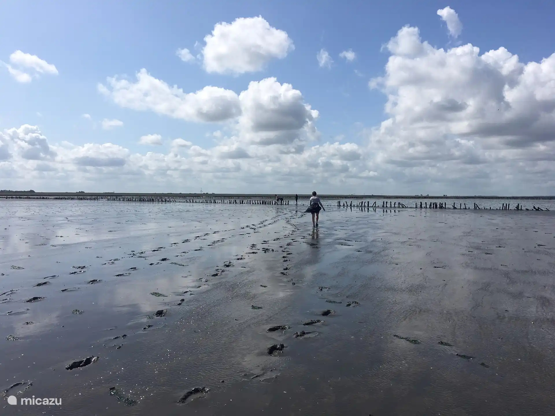 Herrlich im Wattenmeer.