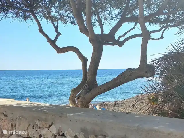 Villa Karina huren in Spanje, Costa Blanca, Benissa - villa Omgeving