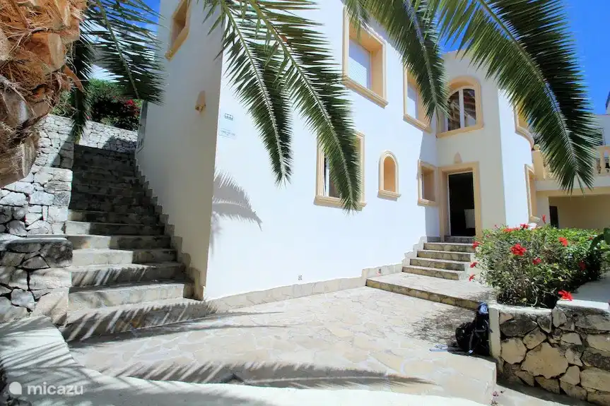 Unter einer Palme der Blick auf die Haustür der Wohnung im Erdgeschoss