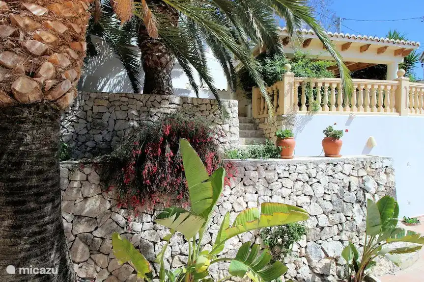 Viele mediterrane Obstbäume, Pflanzen und Palmen im Garten 