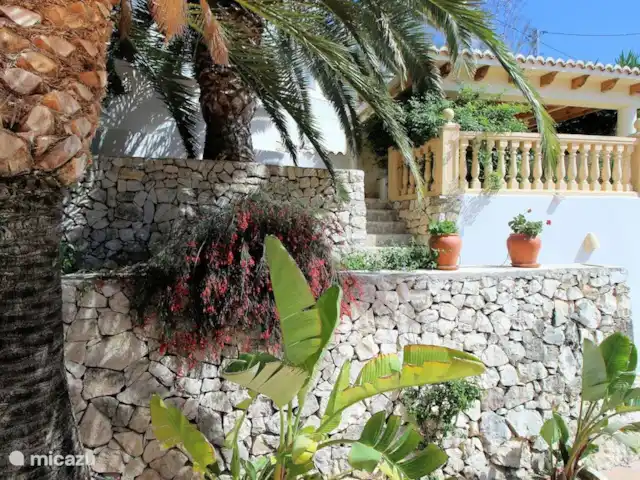 Villa Karina huren in Spanje, Costa Blanca, Benissa - villa veel mediterraanse fruitbomen,planten en palmbomen in de tuin