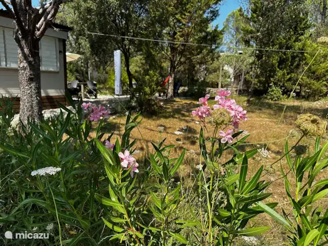 Vacquières, Parc le Duc n° 262 | France, Hérault, Vacquières - chalet Parce que le coin salon se trouve derrière le chalet, il y a beaucoup d’intimité dans le jardin