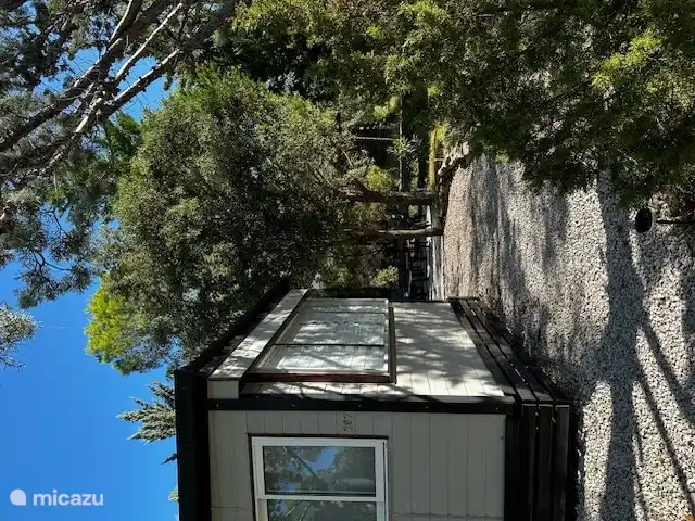 Lauschiger Garten mit viel Grün