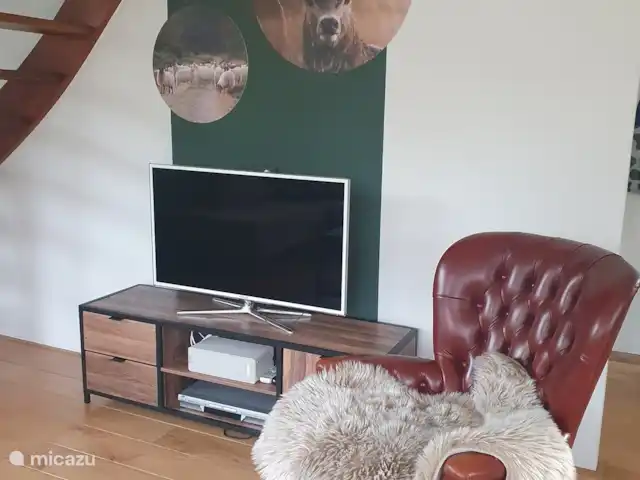 Location de Vacances Pays-Bas, Gueldre, Epe, ferme - Boshuis 40 (récemment ajouté) Coin TV
