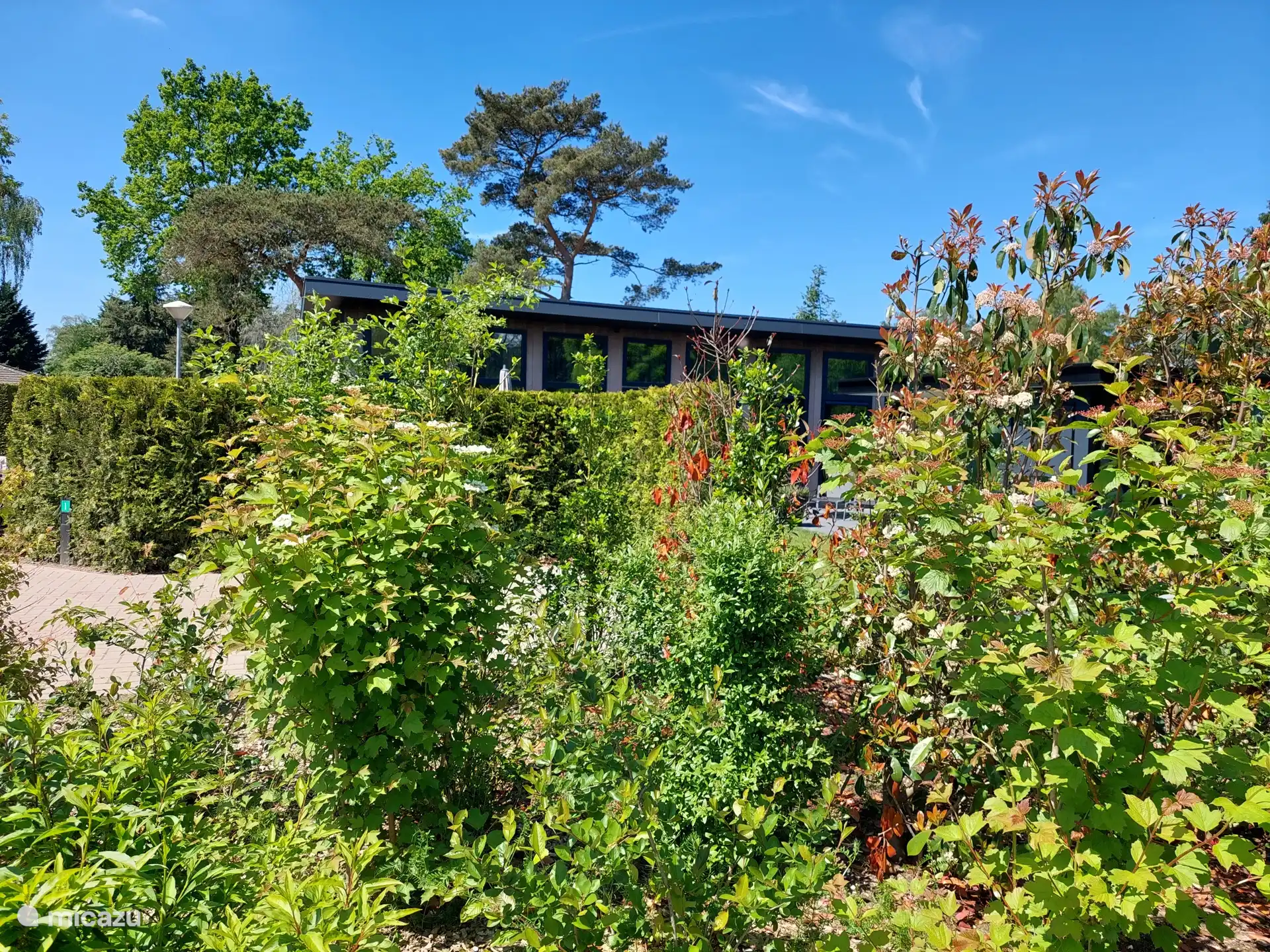 De tuin voor de accommodatie