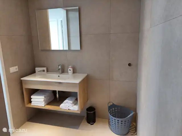Bungalow confort con jacuzzi 01 en Países Bajos, Güeldres, Putten - casa vacacional Amplio cuarto de baño con lavabo y ducha