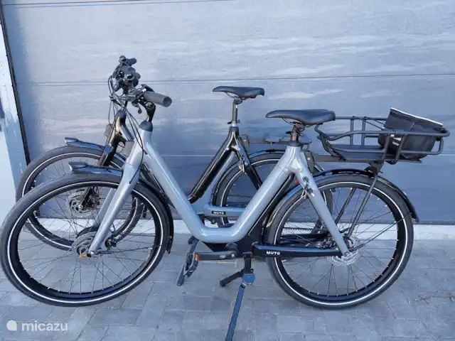 Bungalow confort 02 en Países Bajos, Güeldres, Putten - casa vacacional Bicicletas eléctricas, que puedes reservar como opción con tu estancia.