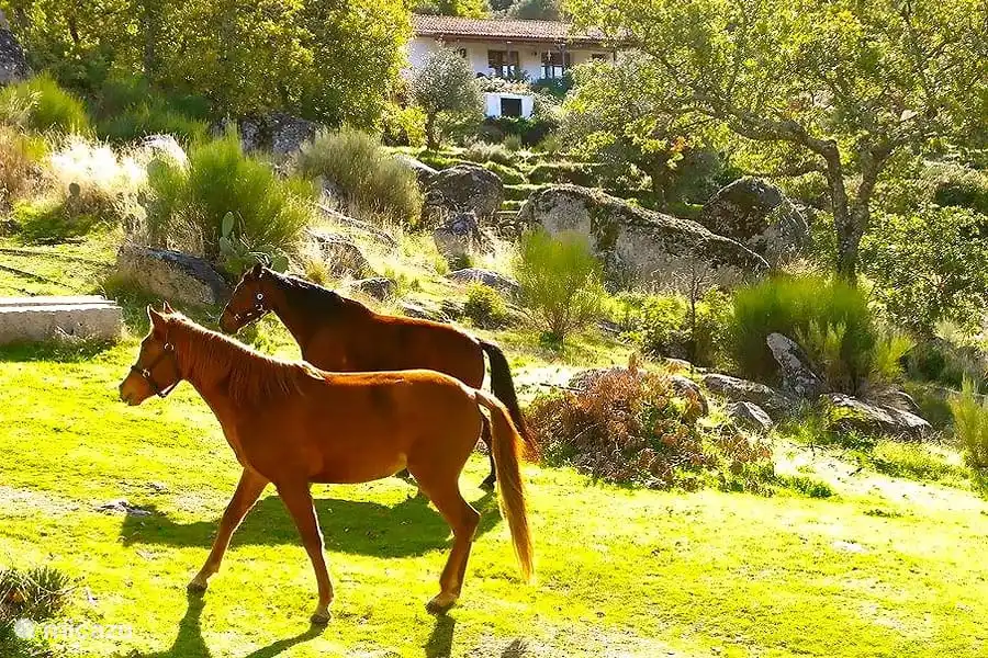 Detail der Immobilie
