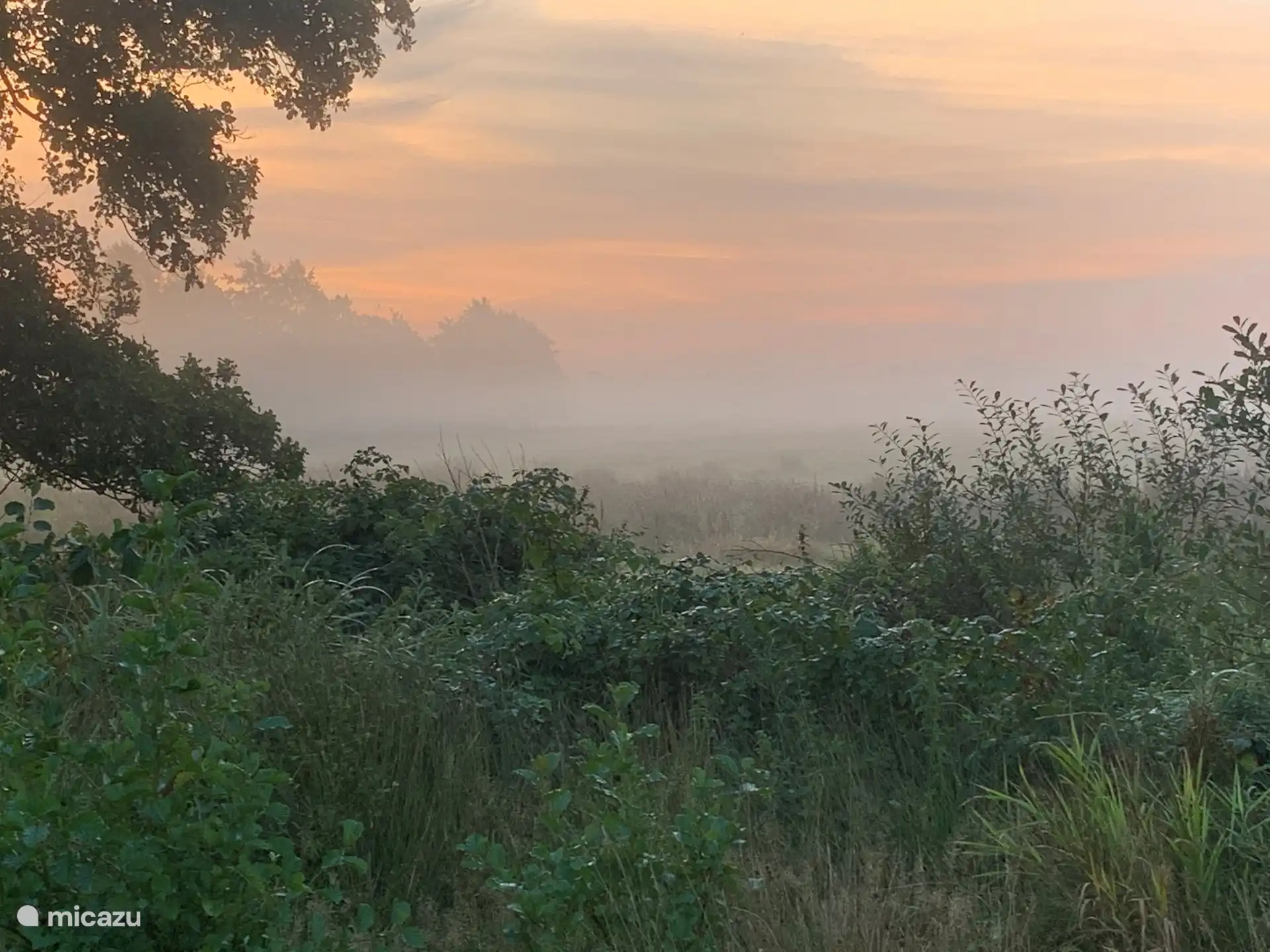 50 Meter vom Haus entfernt