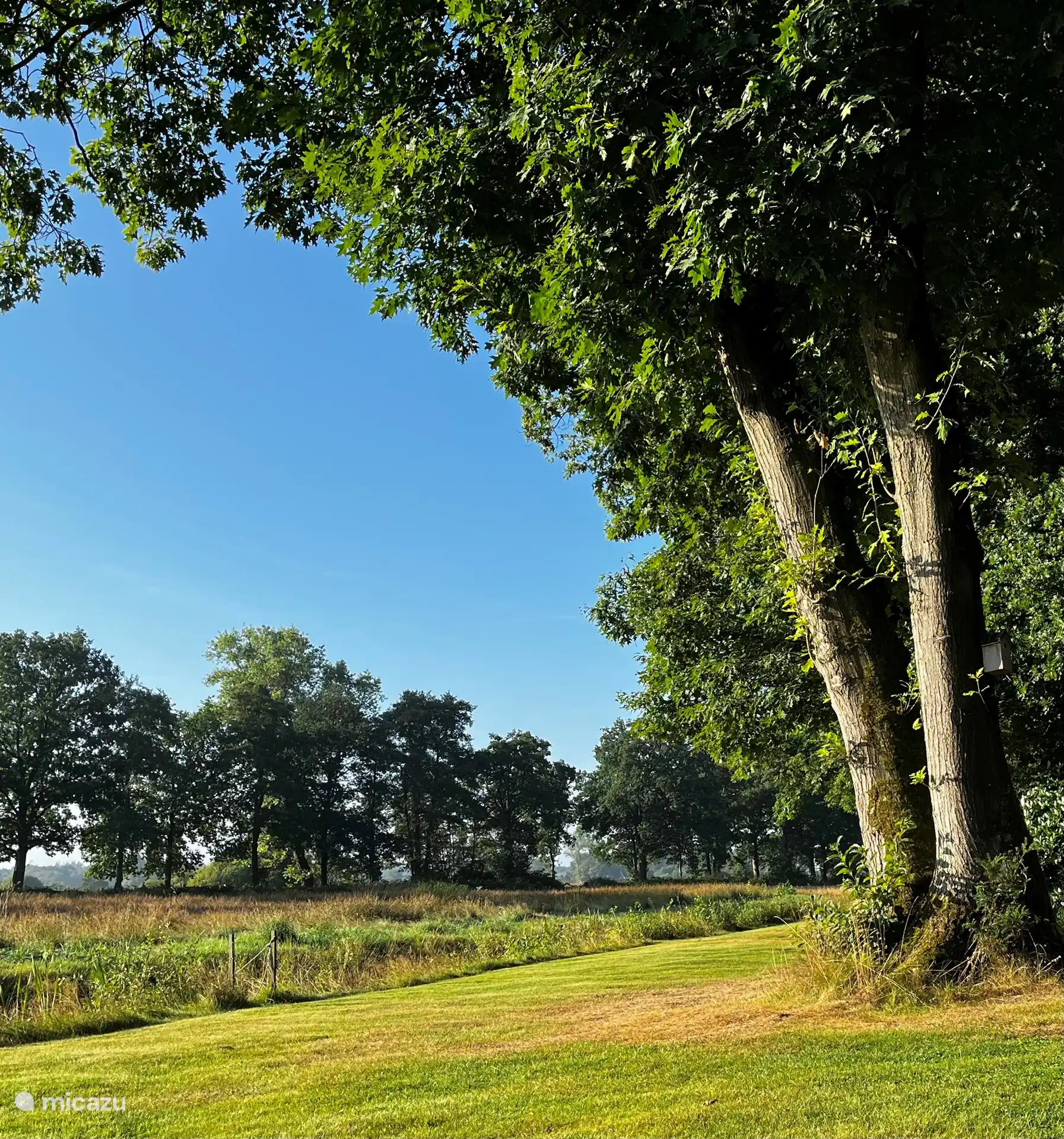 Blick vom Grundstück