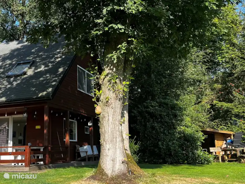 Koekoekshuis huren in Nederland, Drenthe, Doldersum - Vakantiehuis Koekoekshuis huren in Nederland, Drenthe, Doldersum - Vakantiehuis
