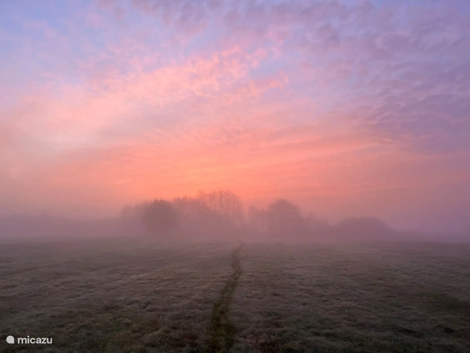 Oft schöne Morgen zum Spazierengehen mit einer guten Chance, Rehe und/oder Kraniche zu sehen