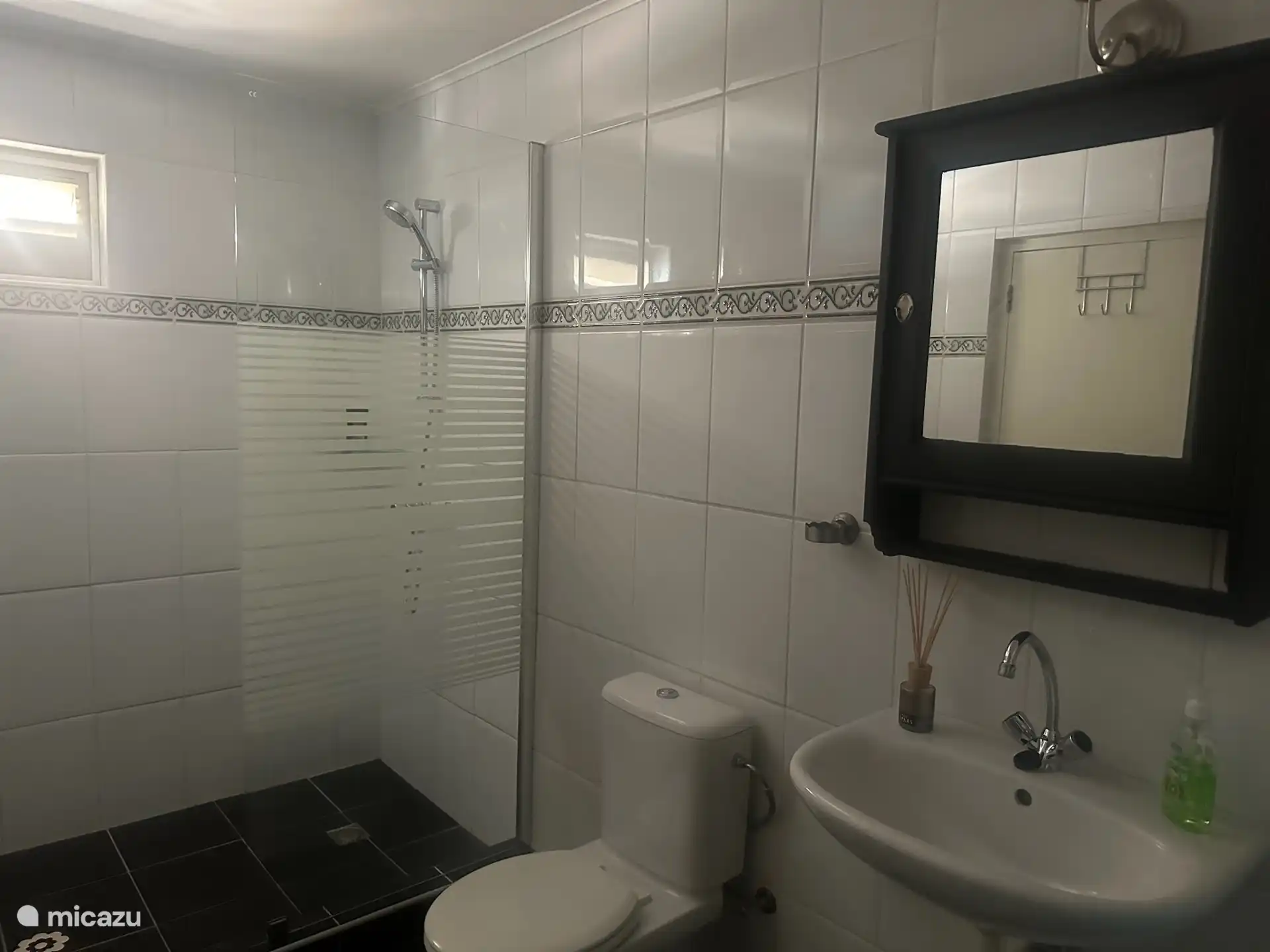 Badkamer nummer 1 grenzend aan de Hoofdslaapkamer 