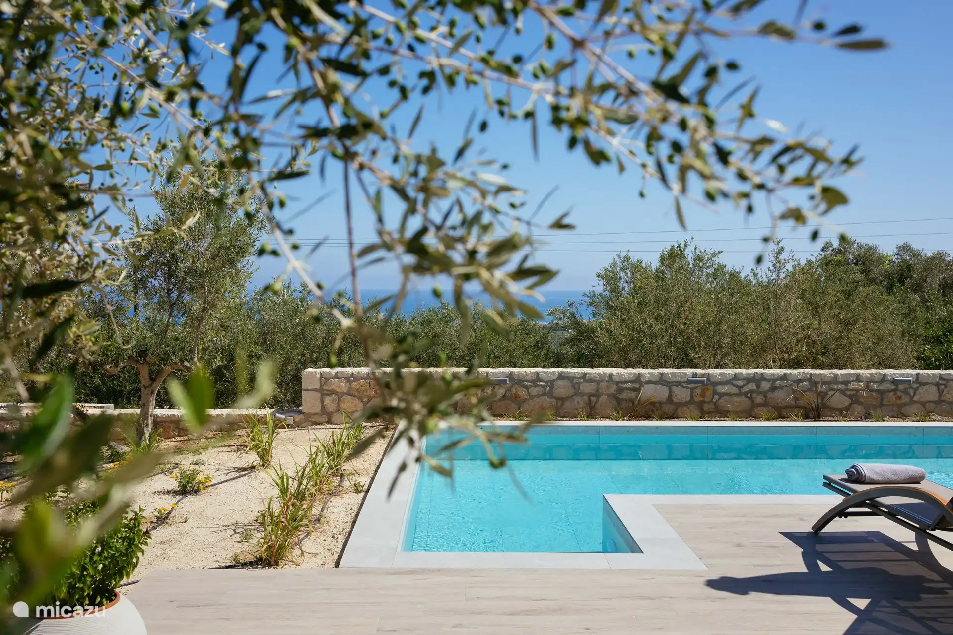 The, chemicals-free, pool