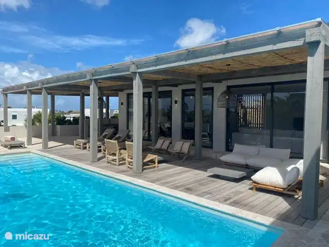 villa, Jan Thiel, Banda Ariba (Ost), Curaçao - Königliche Palme