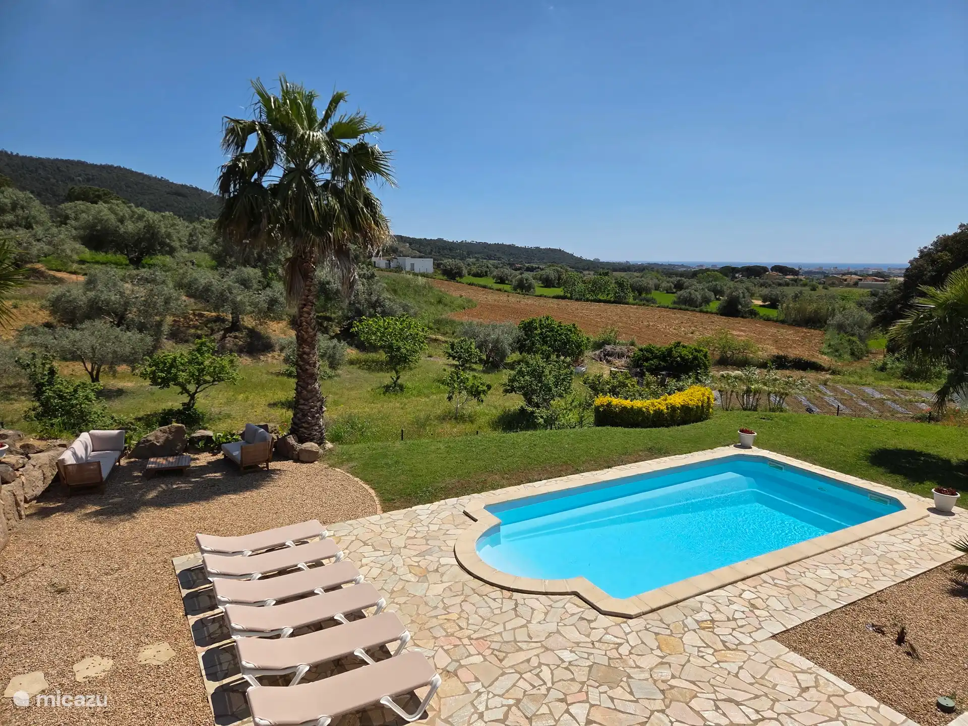 Détendez-vous au bord de la piscine