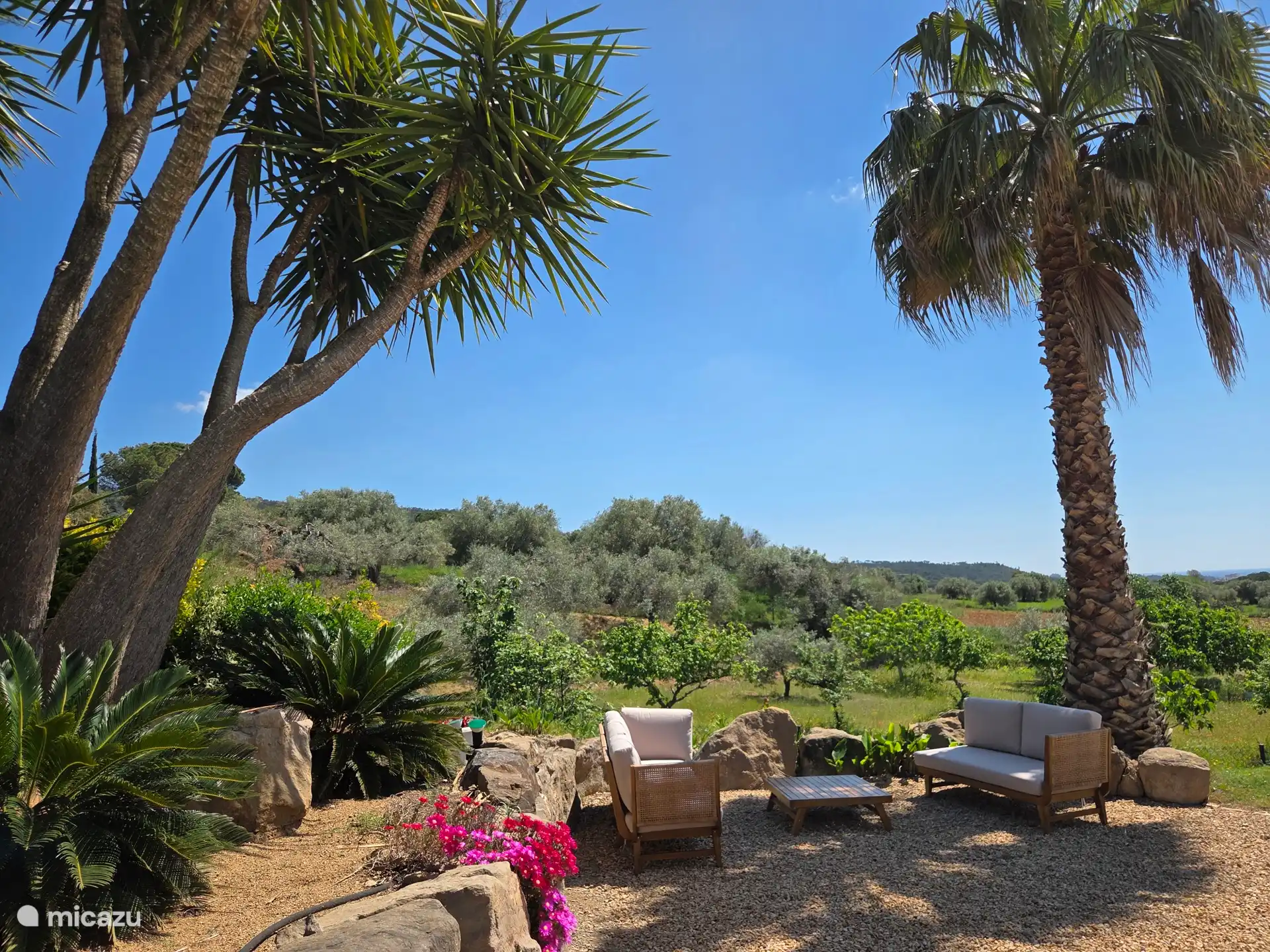 Bel ensemble de salon avec une large vue sur les champs en mer.