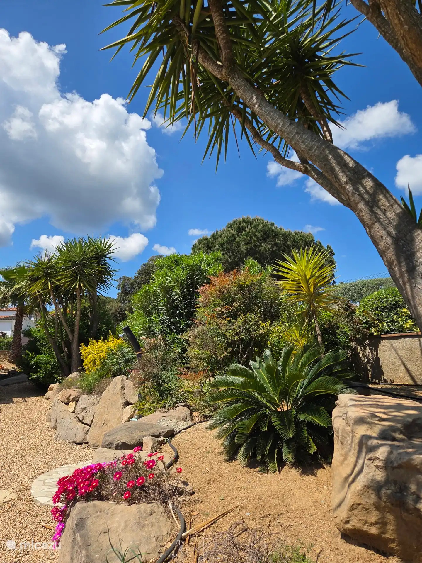Jardin magnifiquement entretenu