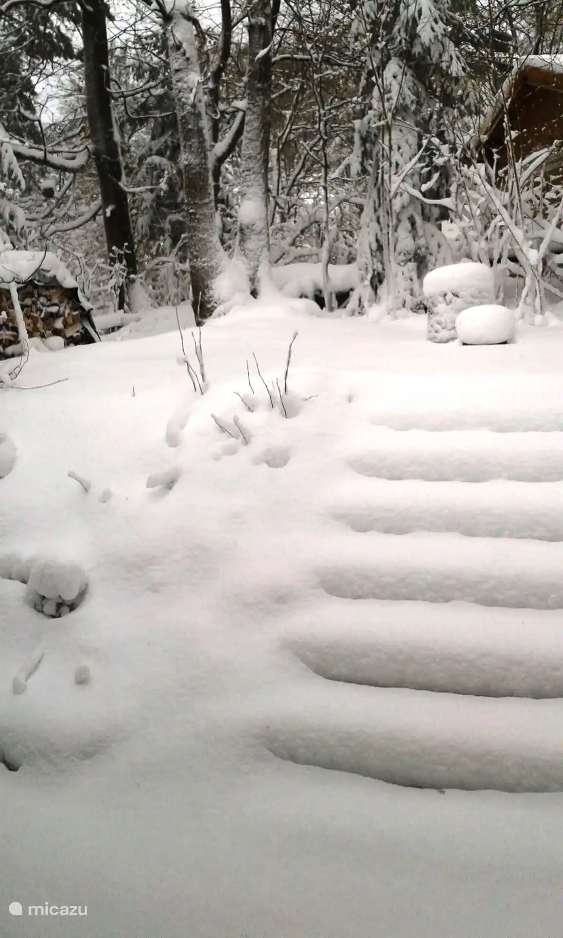 Patio trasero en invierno. Con un poco de suerte, puedes disfrutar de la nieve. Detrás de la casa hay un trineo de madera para los entusiastas.