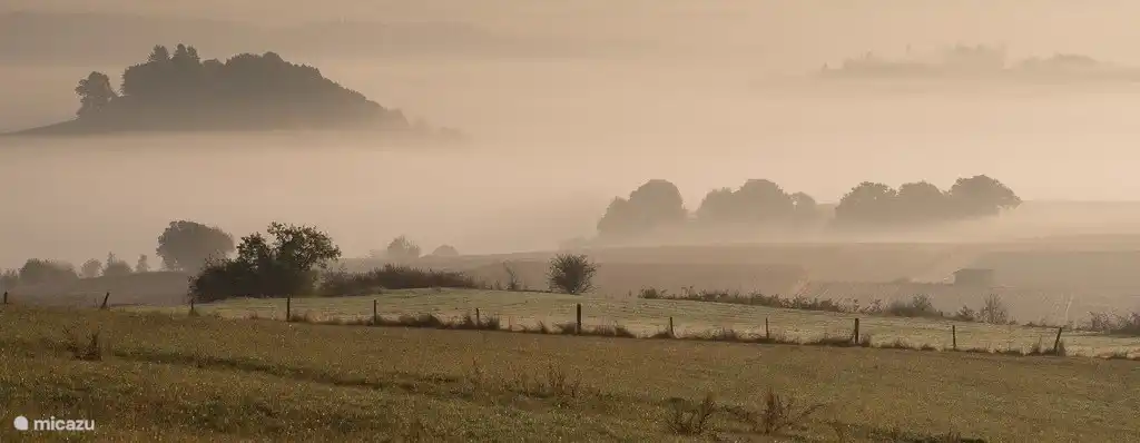 Los primeros pájaros ven todos los lados místicos del paisaje de Eifel.