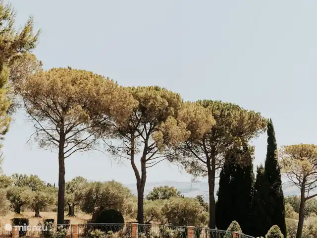 Maniero Montecassiano en Italia, Marche, Macerata - villa Parque 2