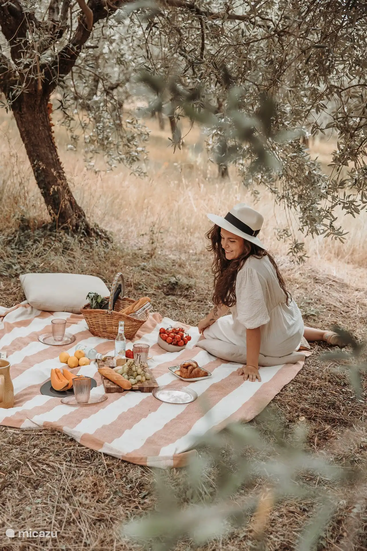 Picnic entre aceitunas
