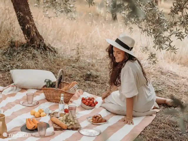 Maniero Montecassiano en Italia, Marche, Macerata - villa Picnic entre aceitunas