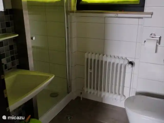 Eifel-huis Lissendorf huren in Duitsland, Eifel, Lissendorf - vakantiehuis De kleine badkamer heeft een douche met lage instap