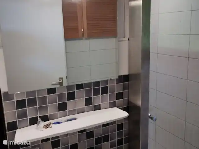 Eifel-huis Lissendorf huren in Duitsland, Eifel, Lissendorf - vakantiehuis In de badkamer is voldoende bergruimte voor de toiletspillen in 3 wandkastjes
