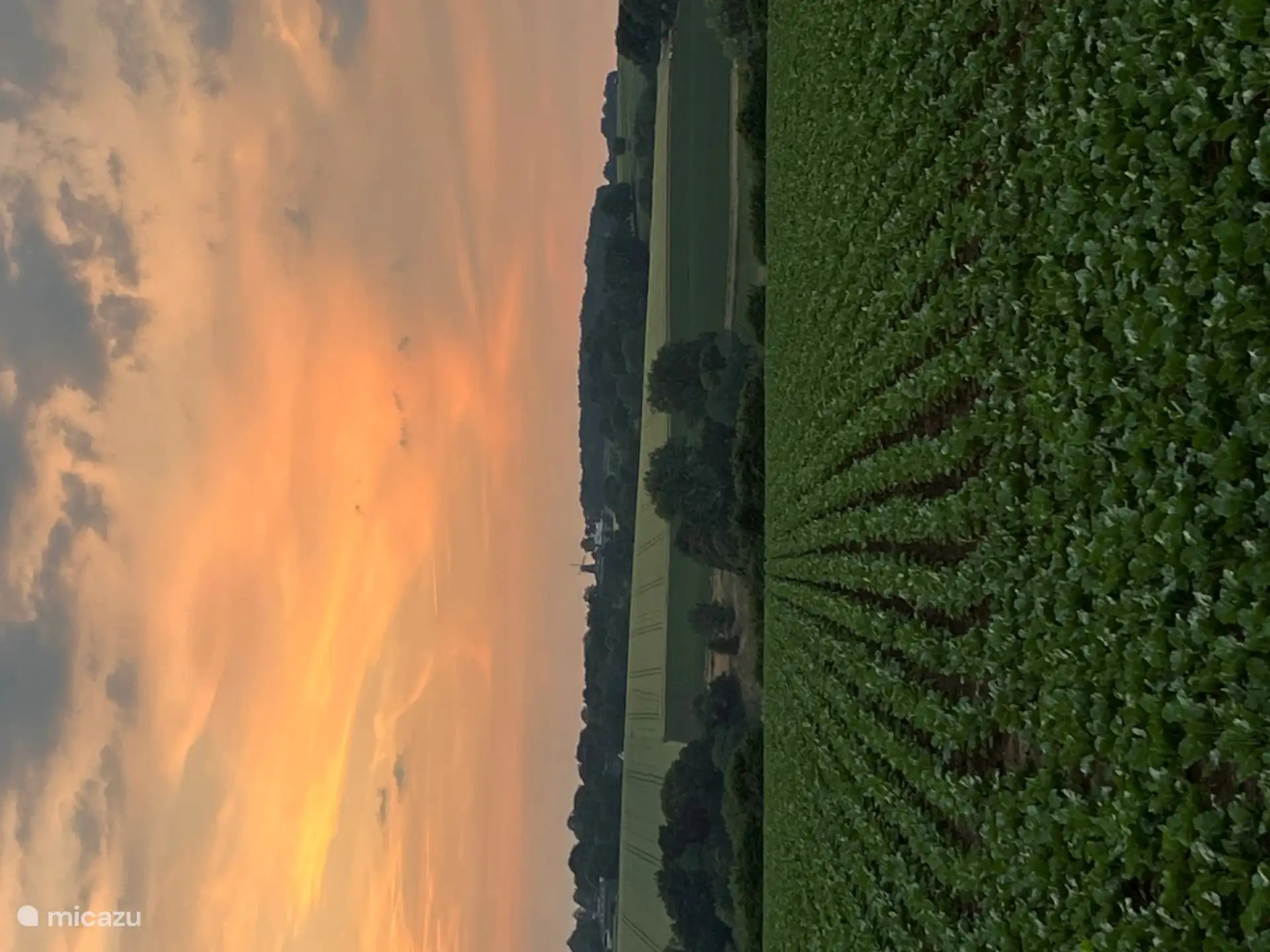 In the evening a small walk in the area.