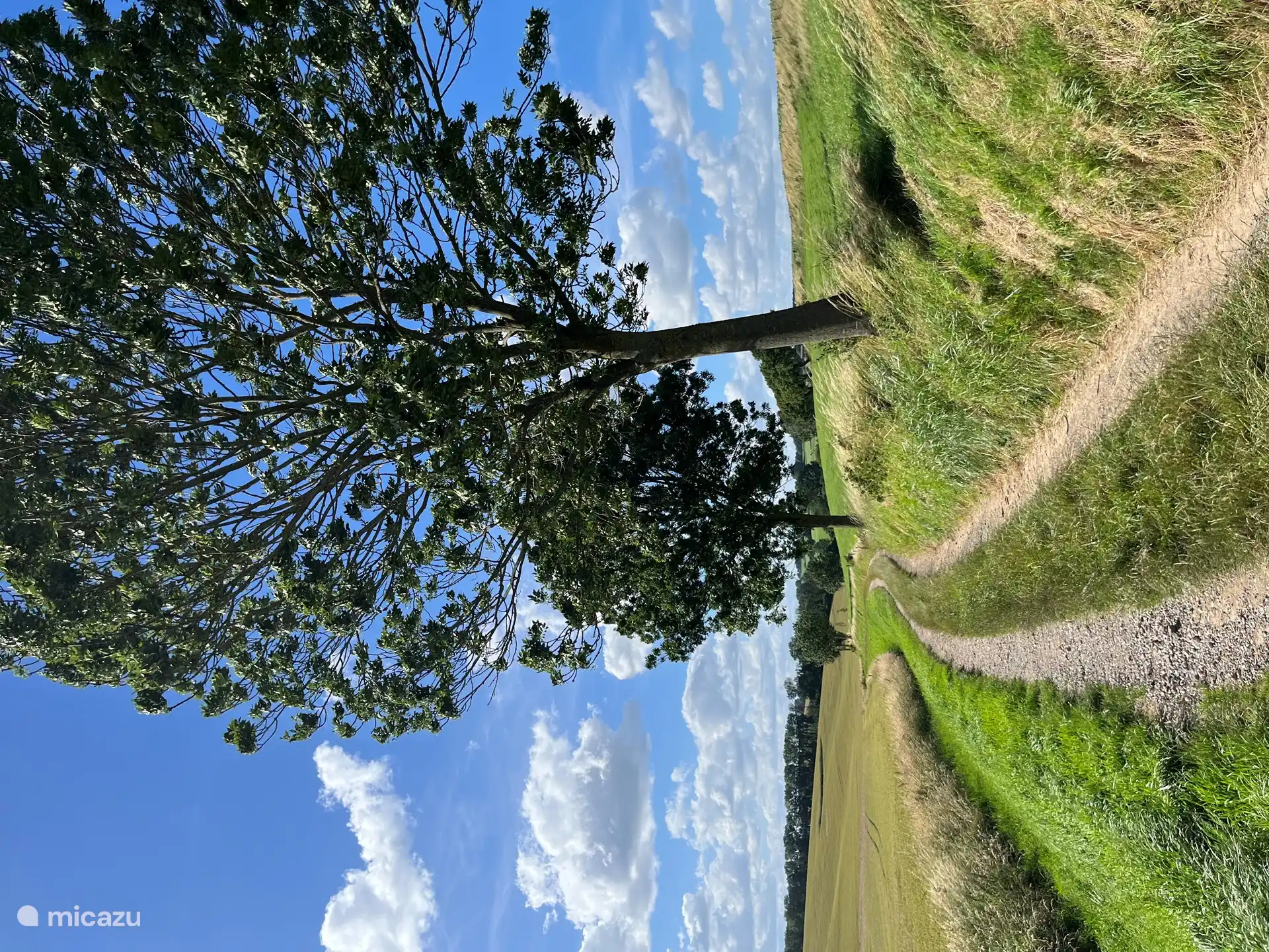 Endless walking on the paths.