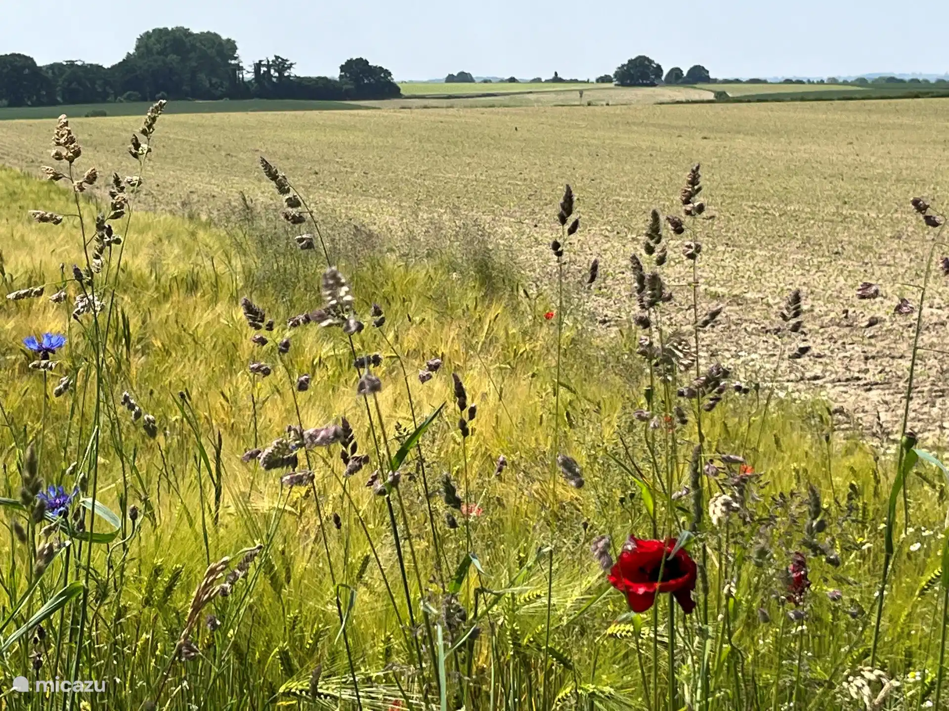 Every season is different.