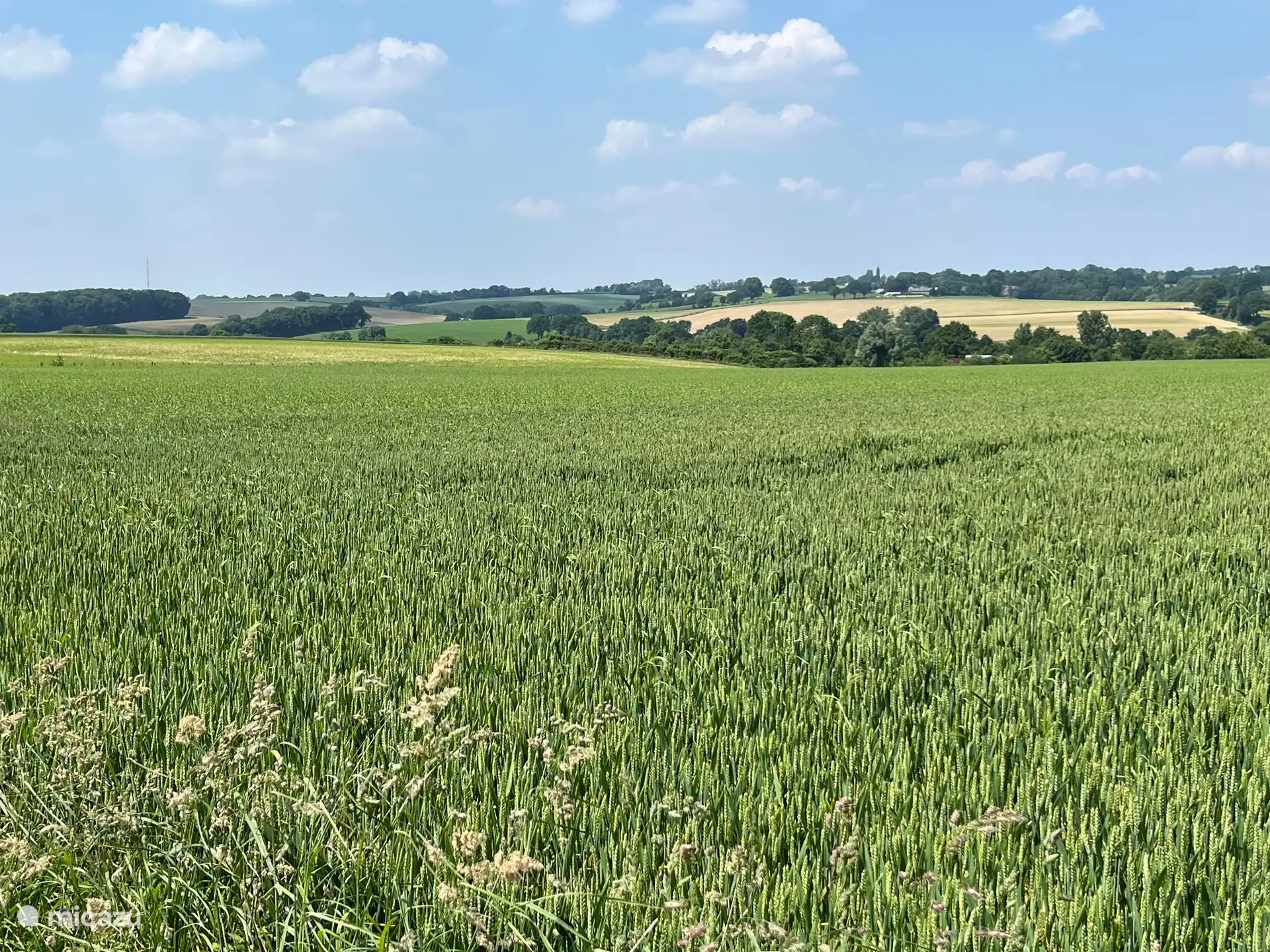 One of the many landscapes