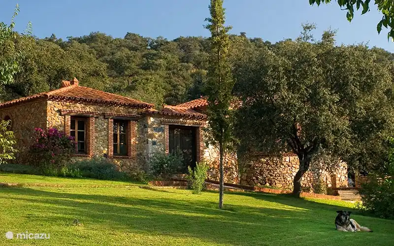 CASA TORTUGA