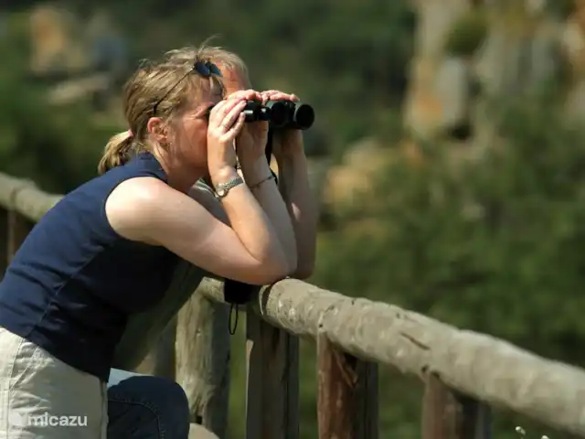 MAISON DE LA TORTUE | Espagne, Andalousie, Alajar - finca Het hele jaar door vogels kijken