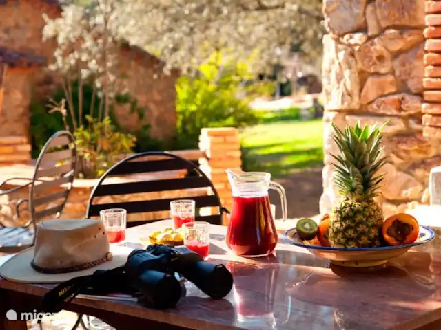 MAISON DE LA TORTUE | Espagne, Andalousie, Alajar - finca Privé terras