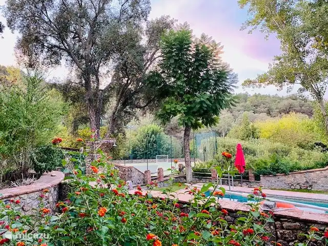 Uitzicht op het zwembad